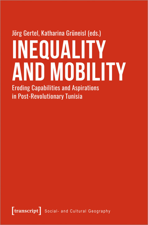 Книга Inequality and Mobility Katharina Grüneisl