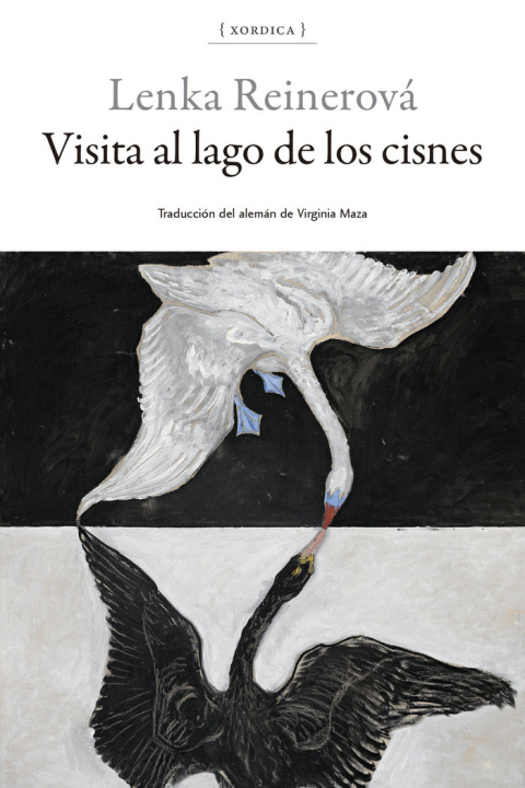 Kniha VISITA AL LAGO DE LOS CISNES REINEROVA