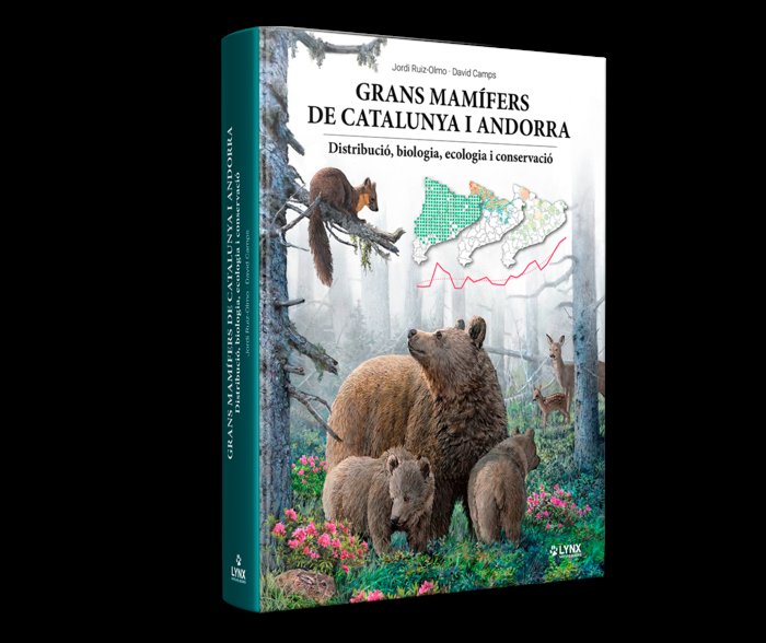 Kniha GRANS MAMIFERS DE CATALUNYA I ANDORRA JORDI RUIZ-OLMO