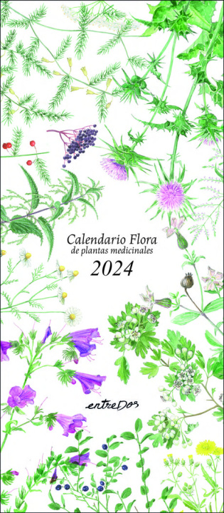 Kniha Calendario Flora de plantas medicinales 2024 Vilaldama