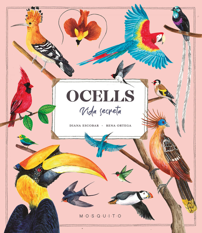 Kniha Ocells. Vida Secreta ESTEBAN