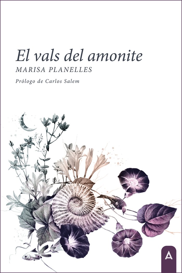 Kniha El vals del amonite Planelles