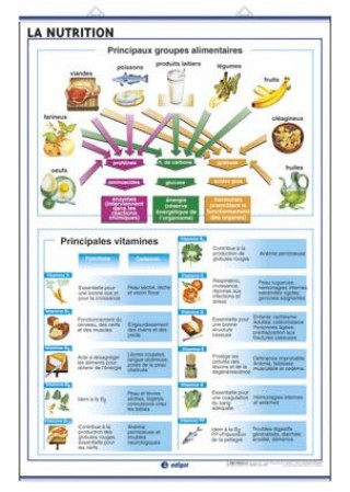 Carte LA NUTRITION LE CORPS HUMAIN EDIGOL EDICIONES