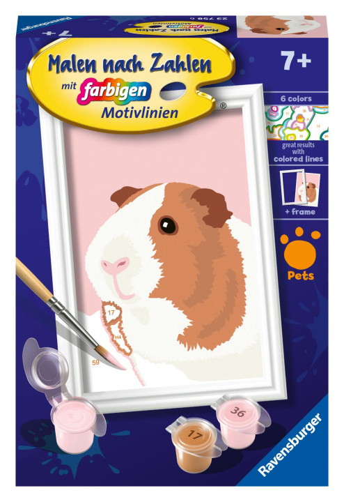 Jeu/jouet Ravensburger Malen nach Zahlen 23758 - Niedliches Meerschweinchen - Kinder ab 7 Jahren 