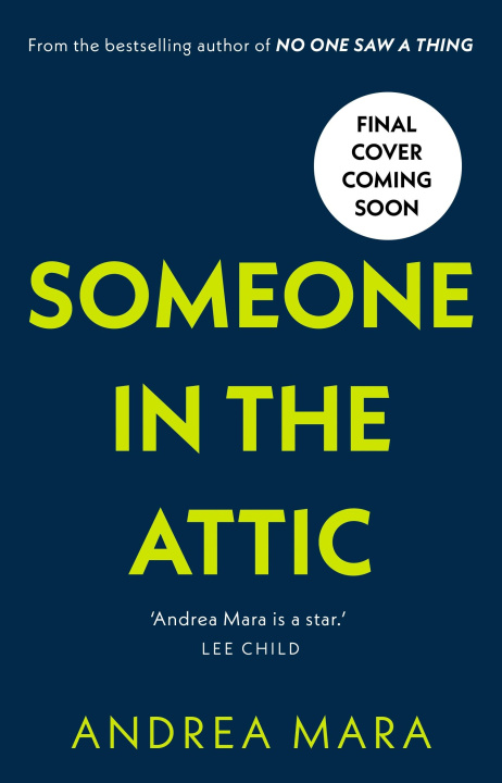 Kniha Someone in the Attic 