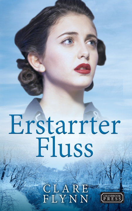 Book Erstarrter Fluss Flynn