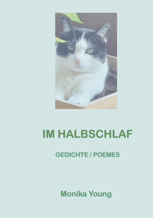 Knjiga Im Halbschlaf 
