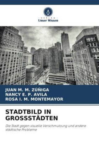 Knjiga STADTBILD IN GROSSSTÄDTEN Nancy E. P. Avila