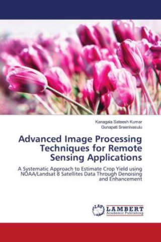 Knjiga Advanced Image Processing Techniques for Remote Sensing Applications Gunapati Sreenivasulu
