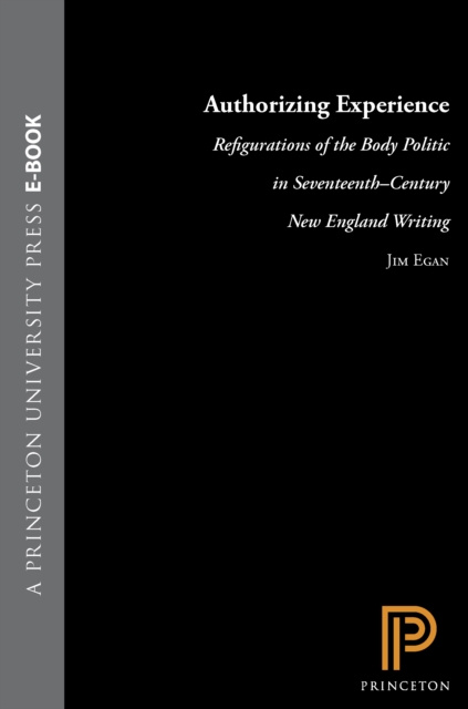 E-book Authorizing Experience Jim Egan