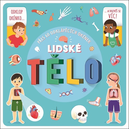 Buch Lidské tělo Helen Catt