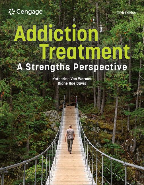 Knjiga Addiction Treatment: A Strengths Perspective VANWORMER