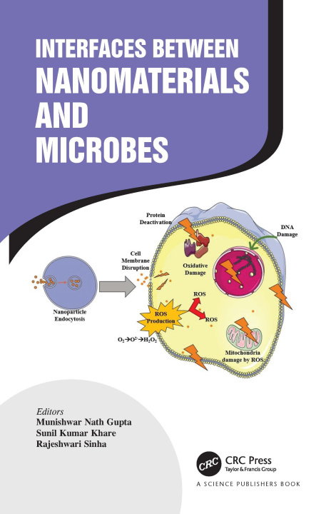 Buch Interfaces Between Nanomaterials and Microbes Munishwar Nath Gupta