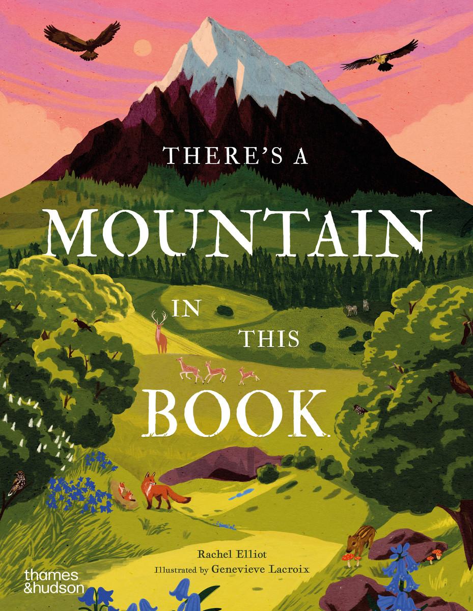 Kniha There's a Mountain in This Book Rachel Elliot