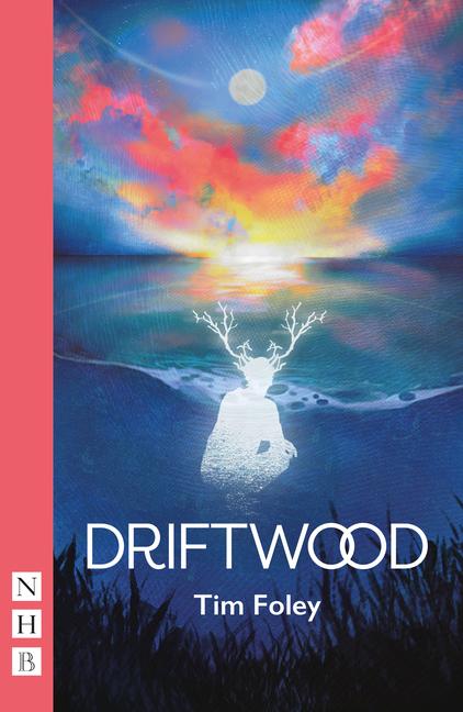 Libro Driftwood Tim Foley