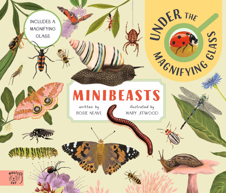 Kniha Big Beautiful Bugs Rosie Neave