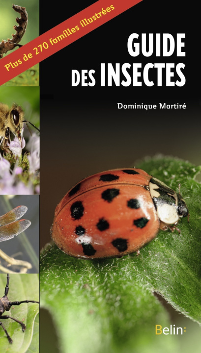 Boek Le guide des insectes Martiré