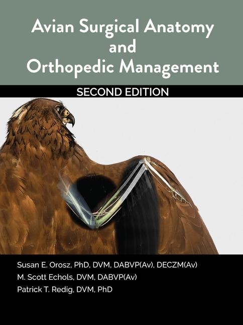 Книга Avian Surgical Anatomy And Orthopedic Management, 2nd Edition Susan Orosz