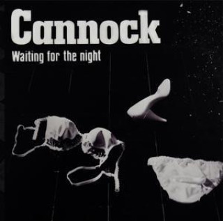 Audio Waiting For The Night Cannock