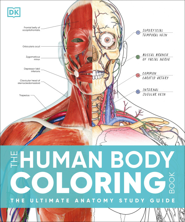 Libro The Human Body Coloring Book: The Ultimate Anatomy Study Guide, Second Edition DK