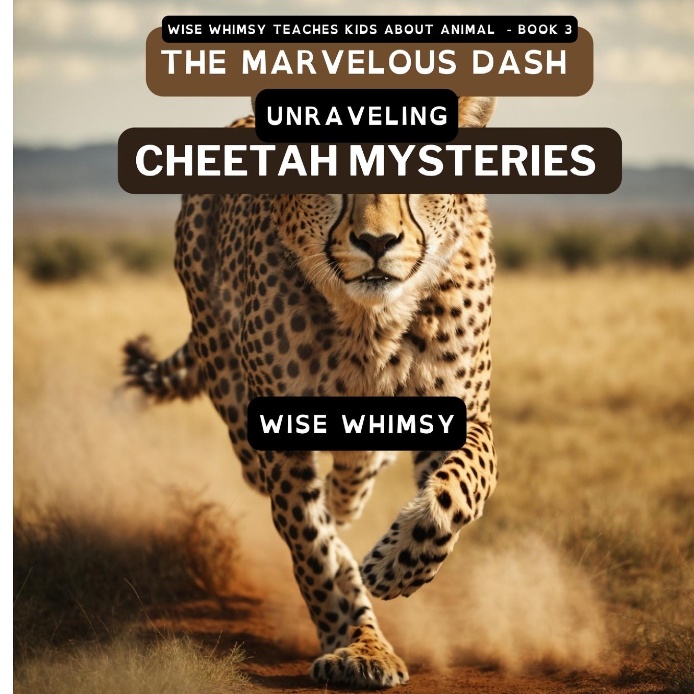 Knjiga The Marvelous Dash Wise Whimsy