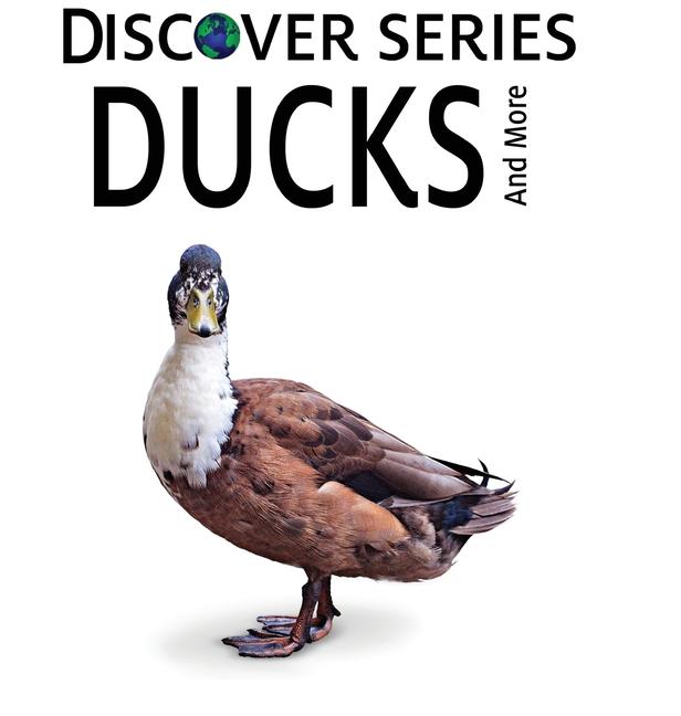 Book Ducks 