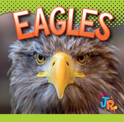 Livro Eagles 