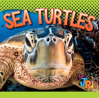 Knjiga Sea Turtles 