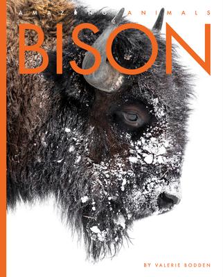 Knjiga Bison 