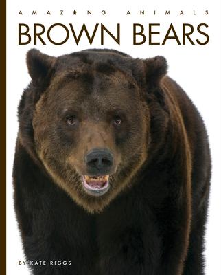 Book Brown Bears 