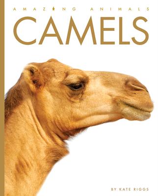 Boek Camels 