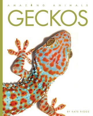 Boek Geckos 