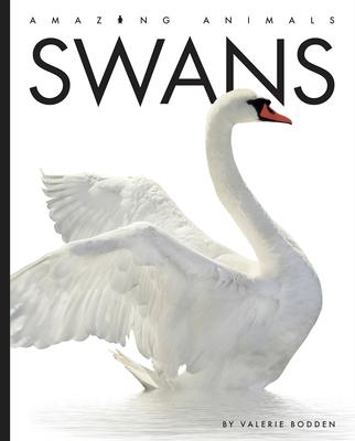 Knjiga Swans 