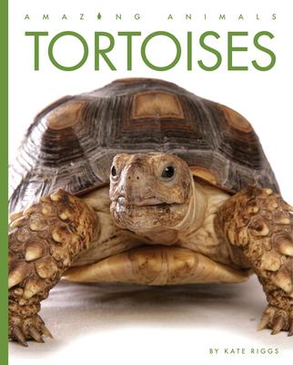 Knjiga Tortoises 