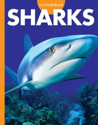 Knjiga Curious about Sharks 