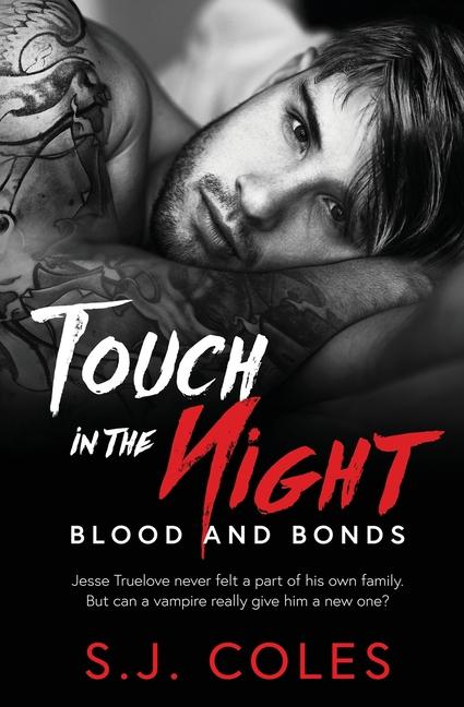 Book Touch in the Night S J Coles