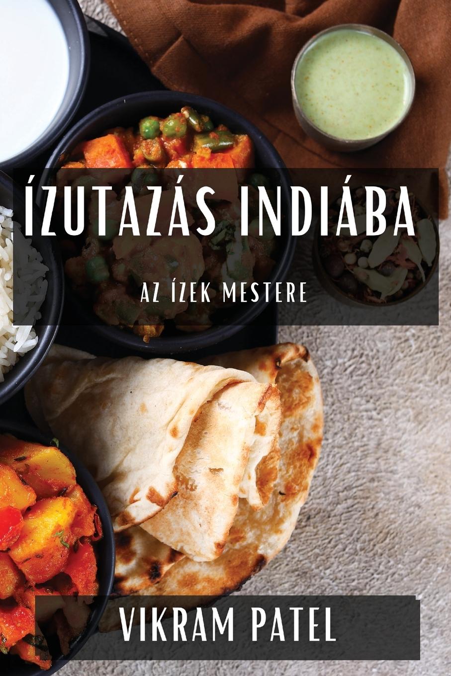 Livro Ízutazás Indiába Vikram Patel