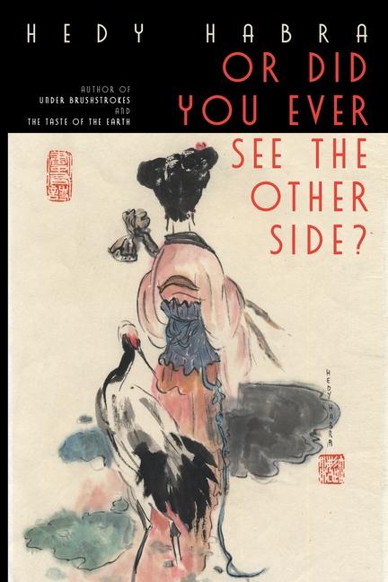 Buch Or Did You Ever See The Other Side? Hedy Habra