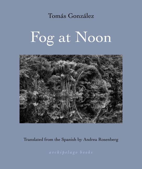 Kniha Midday Fog Andrea Rosenberg