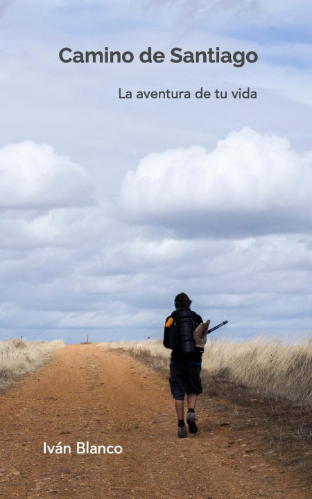 Kniha Camino de Santiago [Espa?ol - color.] 
