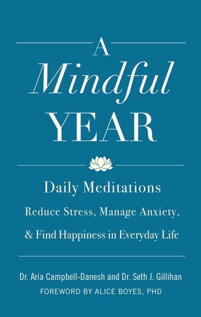 Kniha A Mindful Year: Daily Meditations: Reduce Stress, Manage Anxiety, and Find Happiness in Everyday Life Seth J. Gillihan