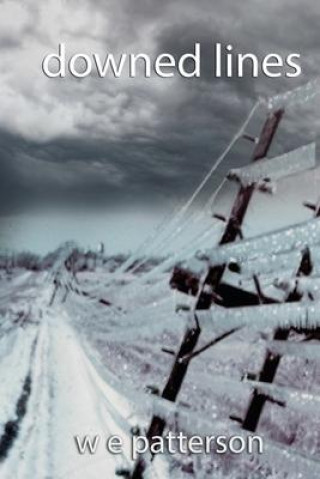 Knjiga downed lines W E Patterson