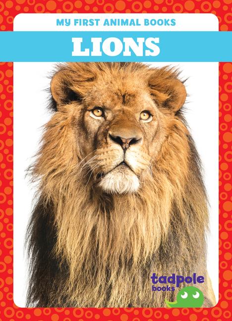 Book Lions Natalie Deniston