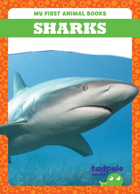 Knjiga Sharks Natalie Deniston