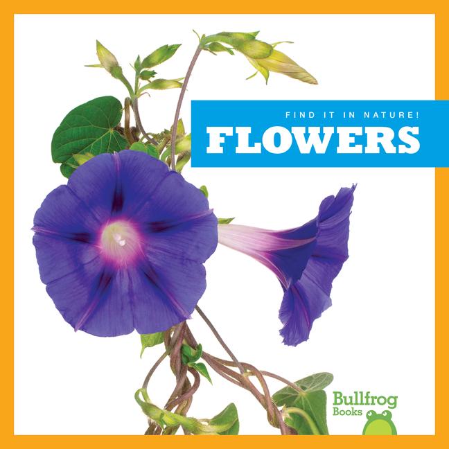 Knjiga Flowers 