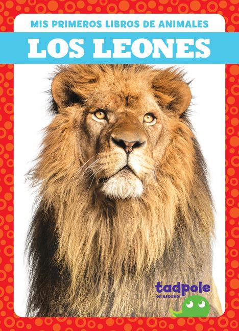 Könyv Los Leones (Lions) 