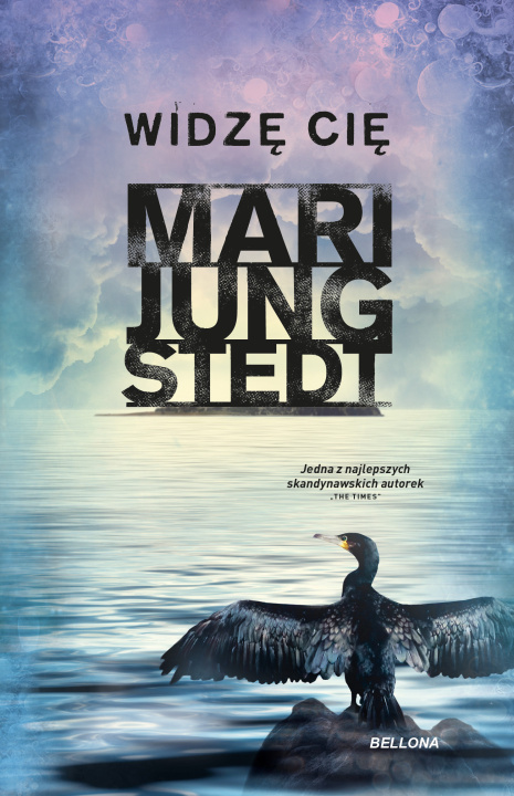 Knjiga Widzę cię Jungstedt Mari