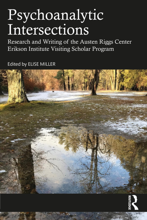 Knjiga Psychoanalytic Intersections Elise Miller