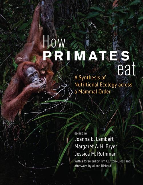 Libro How Primates Eat – A Synthesis of Nutritional Ecology across a Mammal Order Joanna E. Lambert