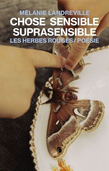 Knjiga CHOSE SENSIBLE SUPRASENSIBLE LANDREVILLE MELANIE